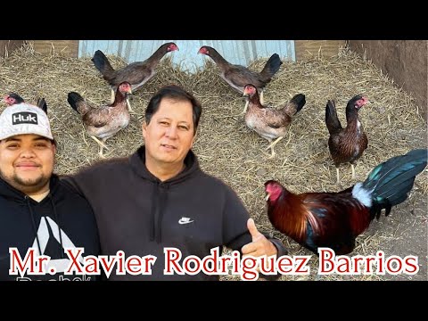 Mr. Xavier Rodriguez Barrios Beautiful Big Farm - Farm Visit
