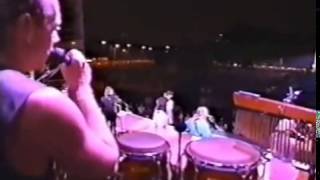Beach Boys California Girls live 1995