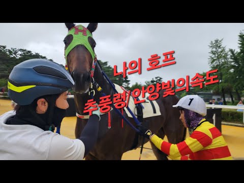 너희 믿는다 추풍령 안양빛의속도