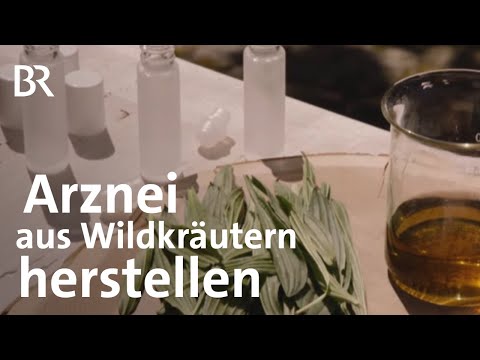 Wildkräuter: Das bewirken Giersch, Schafgarbe und Gänseblümchen | BR