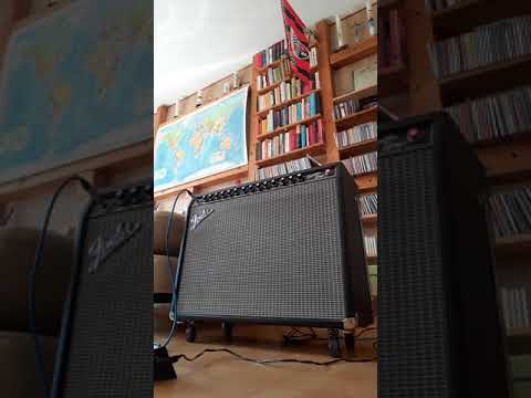 Fender Twin Amp 94'er Modell