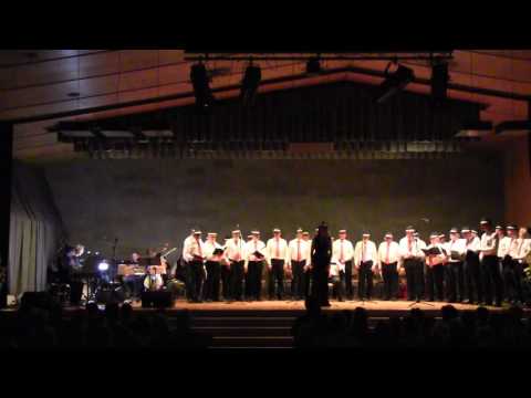 Männerchor Höngg Konzert Mai 2017 Teil 2