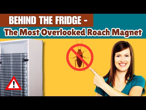How to remove cockroaches behind your fridge (without harming it)
