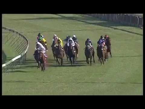 2017.06.10 Tibouchina Stakes (RSA) - Just Sensual