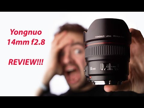 Video thumbnail for Video Review 1