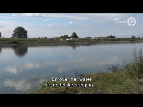 75 jaar vrijheid 20 september 2019 - De oorlog in kunst en cultuur