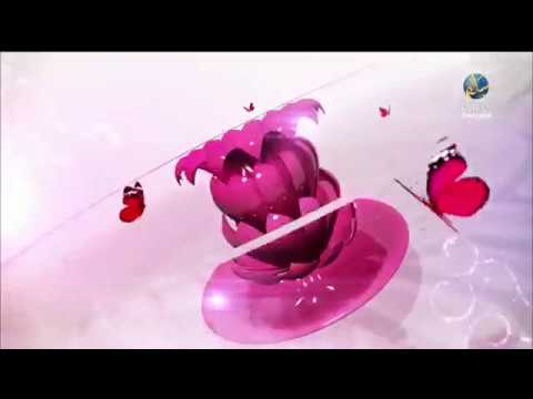 Umdatul Ahkaam - Marriage Part 1 - Sheikh Assim Al Hakeem