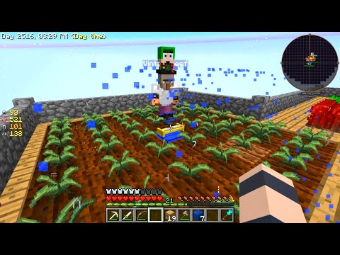 Minecraft - Sky Factory #19: Summer Time!