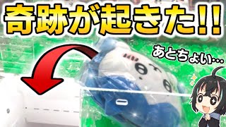 【ちいかわ】UFOキャッチャーで奇跡が起きました‼【グッズ】