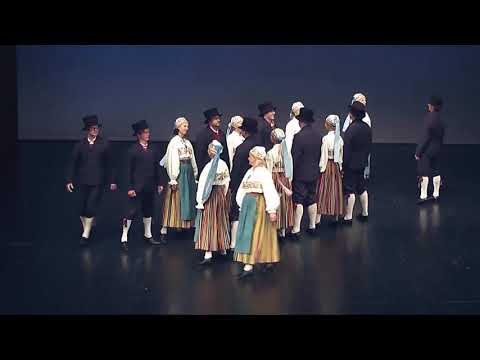 „Tule, tantsime“ V. Rajaste / InBoil „Olen soo“ - S3 Segarühmad 2019