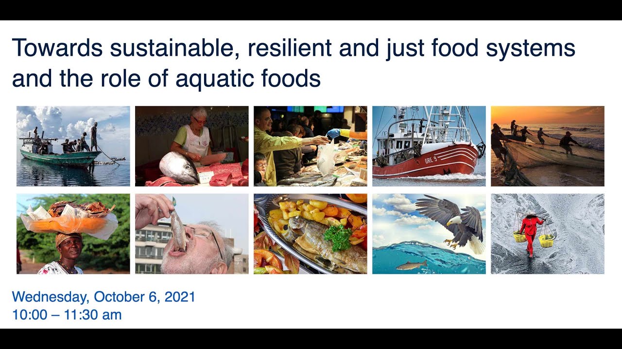 Towards sustainable, resilient and just food systems and the role of aquatic foods