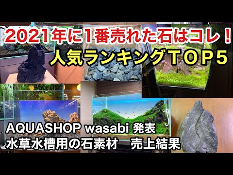 池の水草ベスト５！  庭園