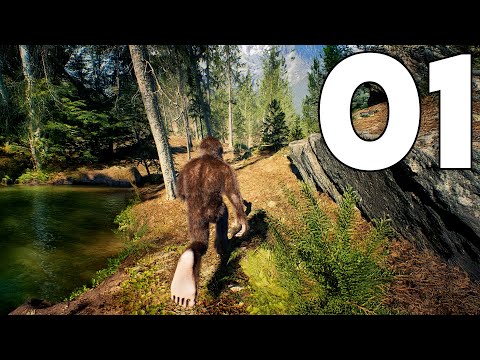 Просмотреть видео