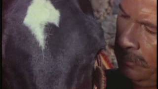 CABALLO PRIETO AZABACHE, ANTONIO AGUILAR