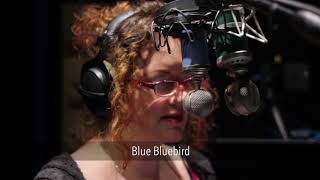 Video thumbnail for Blue Kiwi vs. Blue Bluebird (Female) | VO Mic Comparison by VOscripts