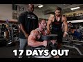 BODYBUILDING MOTIVATION SHOULDER WORKOUT | REGAN GRIMES 17 DAYS OUT