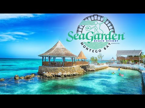 Videos del Seagarden Beach Resort 3★ en Montego Bay, Jamaica
Ver Más
Ver
Precios
19
Cerrar
Consulta por Whatsapp 🇦🇷
Booking
Tripadvisor
Expedia
Agoda
Travelocity
Orbitz
Priceline
Trip
Skyscanner
Despegar
Kayak
Hoteles
Destinia
Trivago
Turismocity
Lastminute
Hotwire
Tui
Wotif
