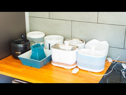Wir haben die besten Wasserspender für Katzen getestet