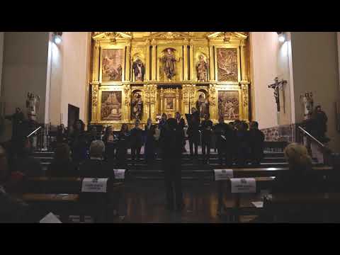 Jacques Brel/Arr Gonçalo Lourenço - Ne me quitte pas