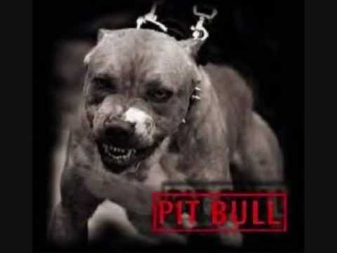 Dizmaster - intoxicated