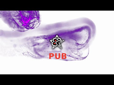 Aliagas par Amélie Pionchon & Olivier Fouquet