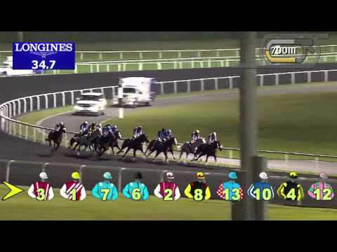 02.01.2014 Meydan (Dubai-UAE) 4.Race Prime - Handicap 1.200 m