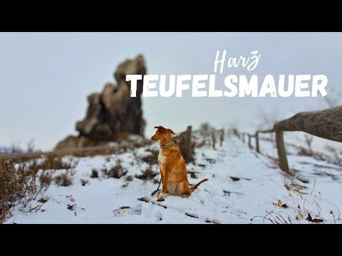 Wanderung Teufelsmauer | Höhlenwohnungen Harz | Wandern mit Hund