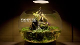 How To Do No Wire Pump Powered Waterfall Vampire Crab Paludarium Ecosystem