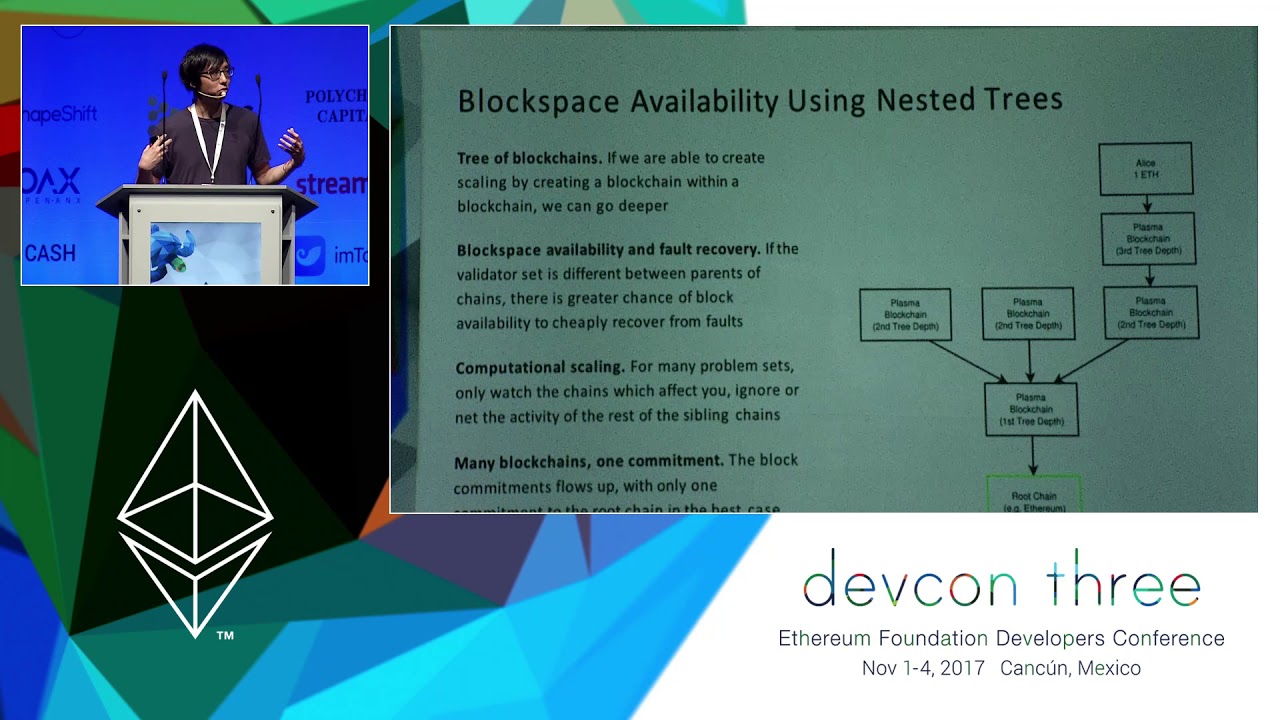 Plasma Overview and Transaction Data Availability preview