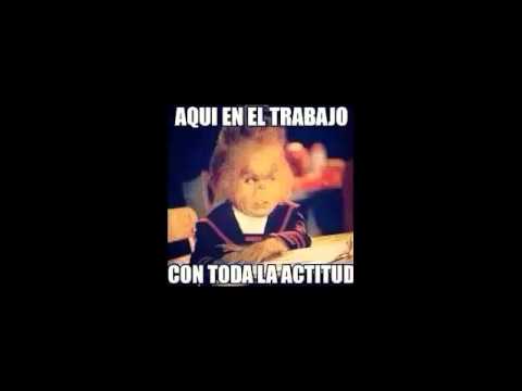 imagenes chistosas para sofia.neto