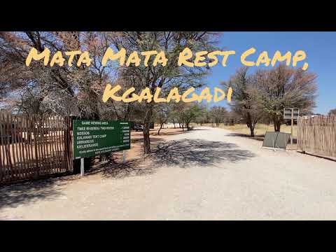 Mata Mata Rest Camp review, Kgalagadi Transfrontier Park