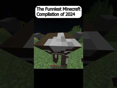2024's Craziest Minecraft Moments!