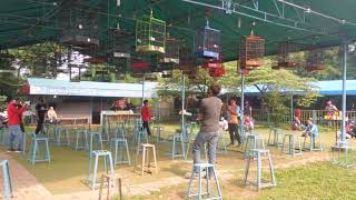 LATPRES NZR BOGOR RAYA PIMPINAN MR. ARDI NZR DI SESI CUCAK HIJAU