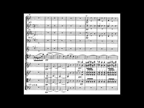 Saint Saens Cello Concerto no. 1 - with Score (Shapira)