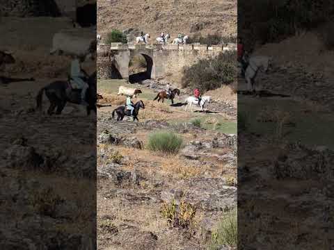 20 de agosto de 2024