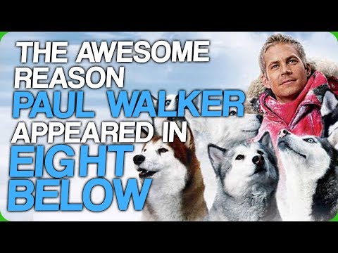 The Awesome Reason Paul Walker Appeared in Eight Below (The Air Bud Cinematic Universe) Video