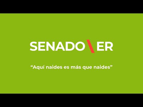 Audiencias Públicas