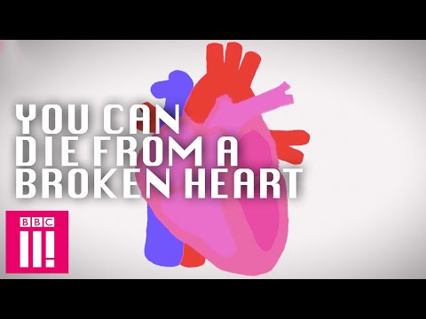 You Can Die Of A Broken Heart: Crazy Science