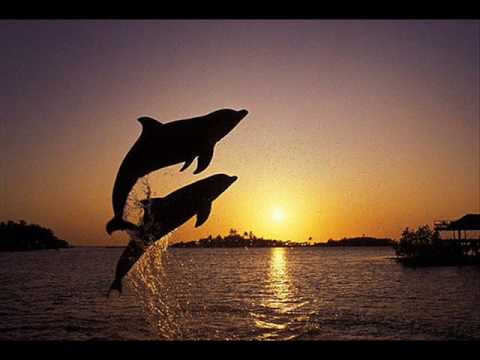 Push feat Elsa Hil - So Long (original mix) [HQ]