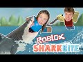 Who wins at SHARK BITE!?! Roblox KJAR Crew Gaming