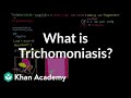 What is trichomoniasis? | Infectious diseases | NCLEX-RN | Khan Academy