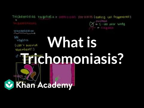 Trichomonas és epithelium kenetben