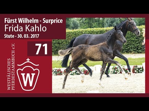 71 Frida Kahlo  Stute v. Fürst Wilhelm - Surprice