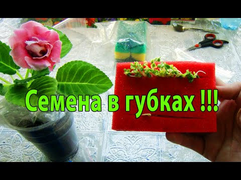 Пластины к перелому сустава кисти Боль в шейном отделе позвоночника лекарство
