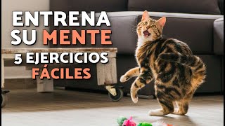 Thumbnail del capítulo