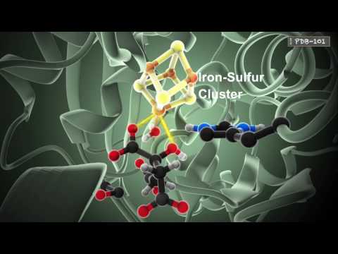 The Ultimate Guide to the Biological Catalysts