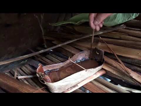 Borneo = Death = Blow =   = Full = Documentary