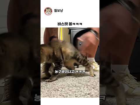 바스 