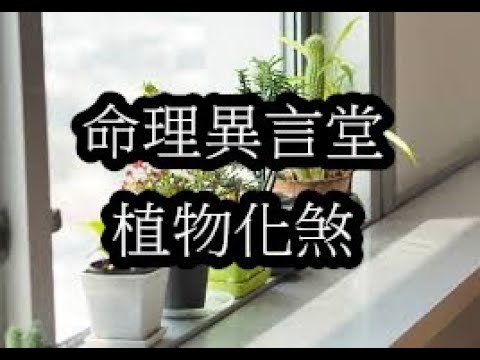 路沖擋煞植物