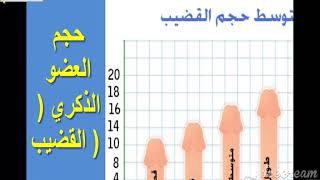 طول الذكر يتوقف متى ما هو